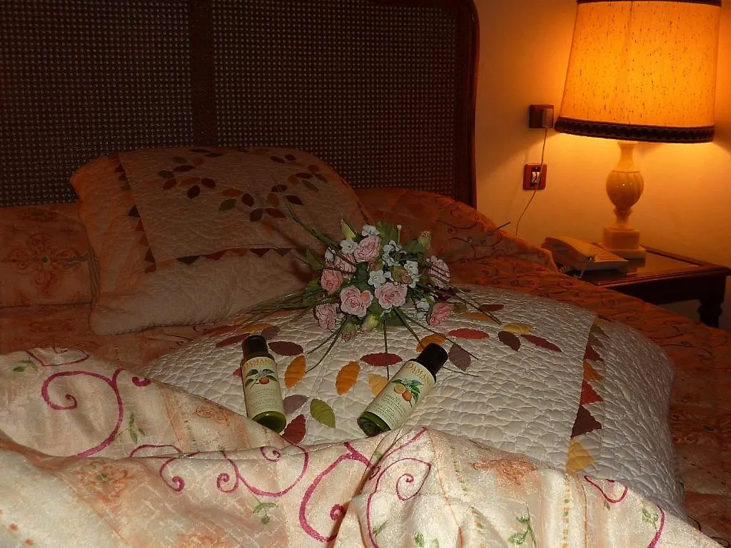 Hotel Du Fiacre Carpentras 3*,
